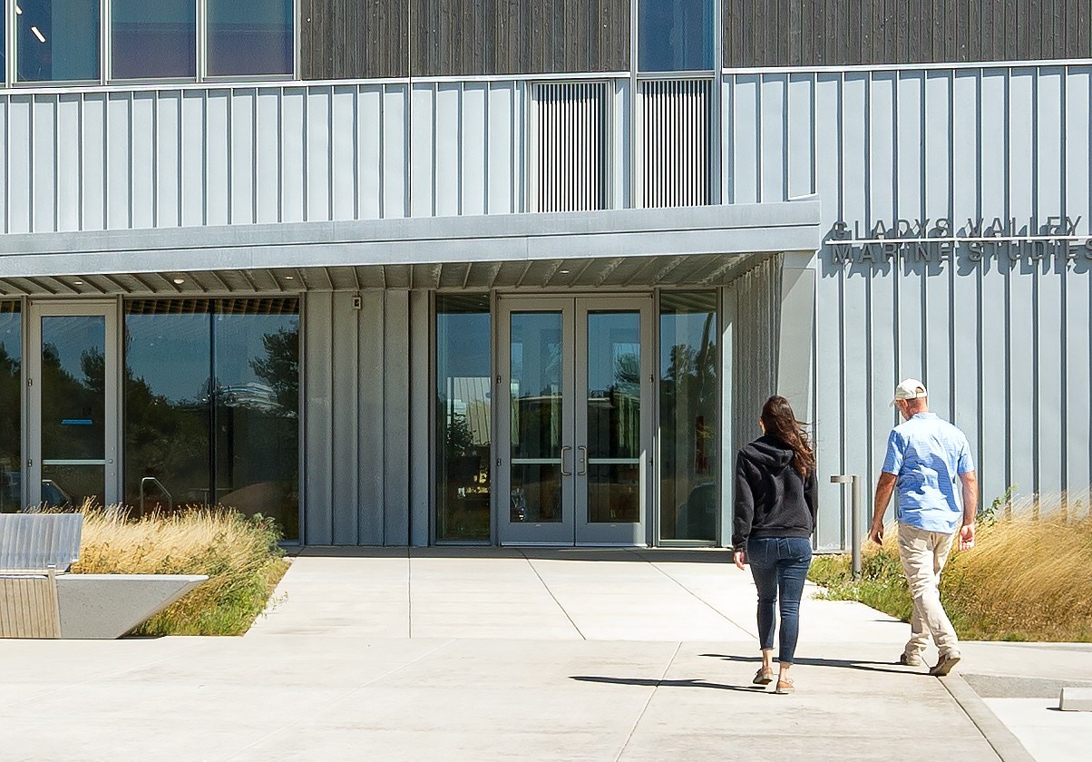 Heavy Wall IR Entrances