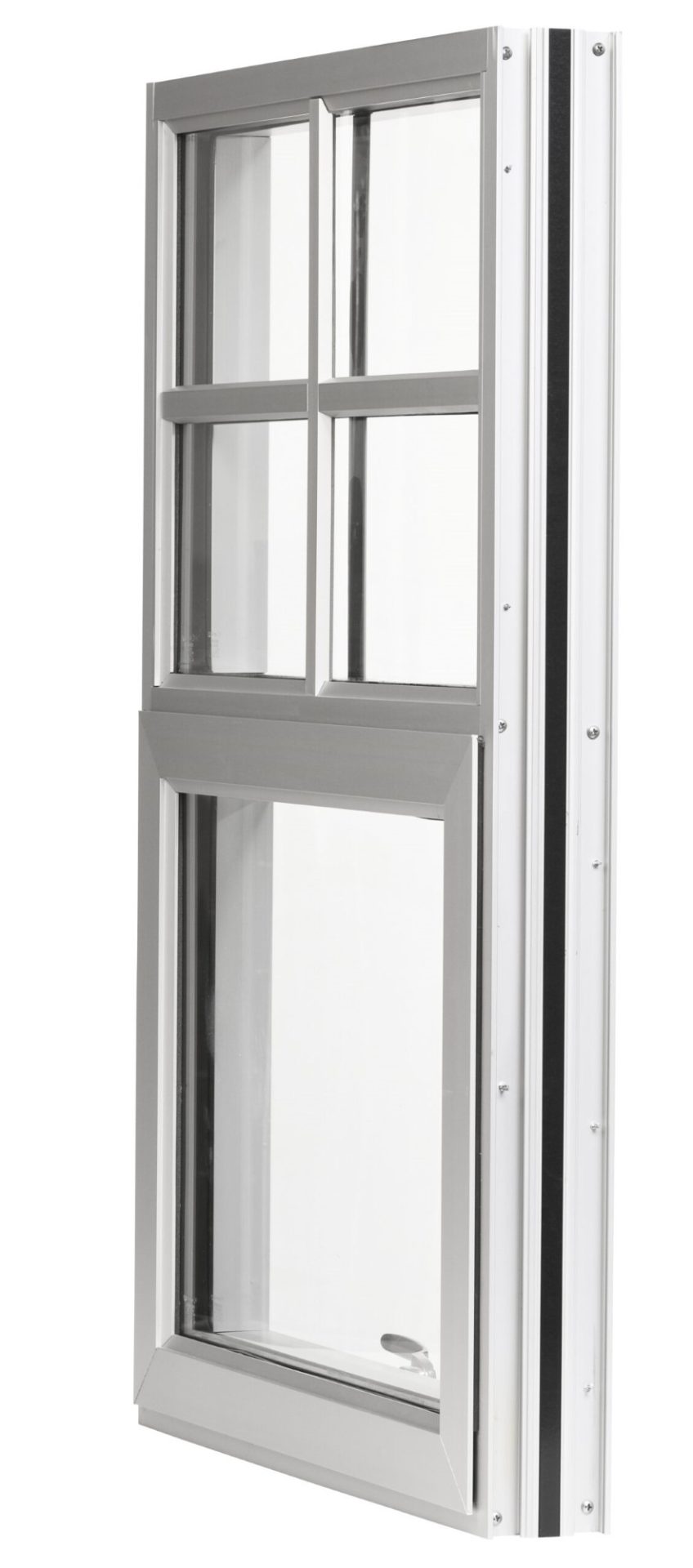 NX 300 Series Windows