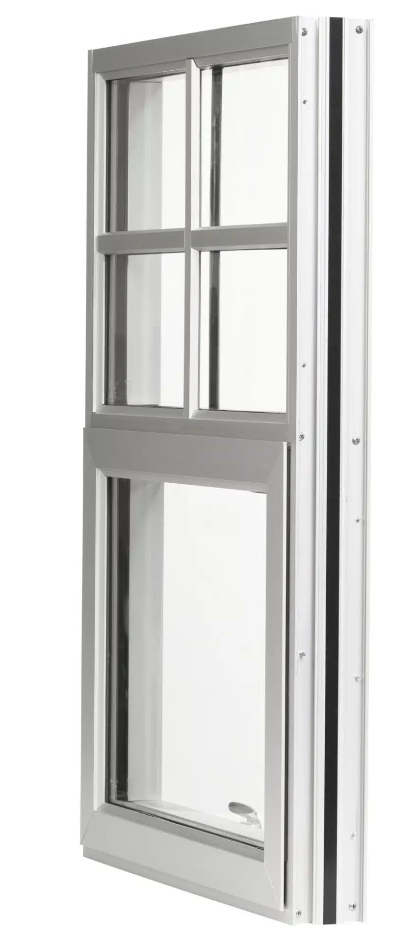 NX 300 Series Windows